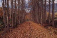 ​享受大自然的心情说说