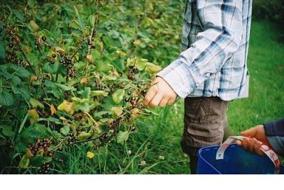 微信古风说说心情短语