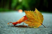 ​好听的空间情侣名字（有含义情侣空间名字）