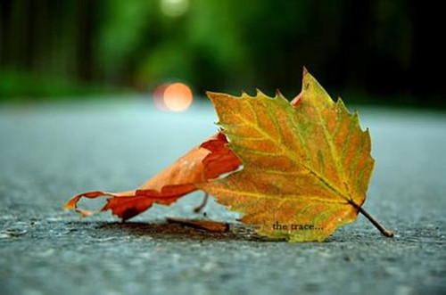 好听的空间情侣名字(有含义情侣空间名字)