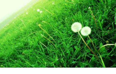 经典说说心情短语