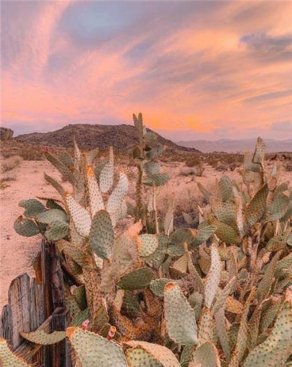关于表达心情烦躁的说说