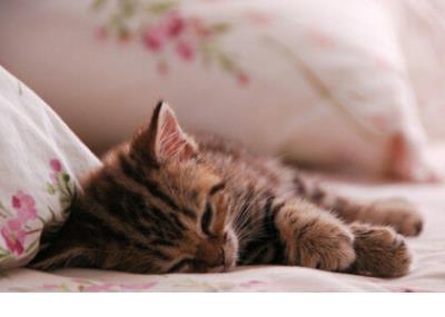 描述美好心情的句子