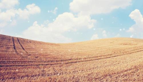 描述美好心情的句子