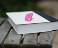 ​个性的网游情侣名字