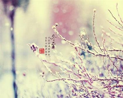 工作累心情压抑的句子