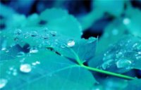 ​心累的句子说说心情（心情说说感悟生活）