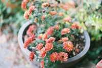 ​cf最霸气战队名字（cf战队名字既低调又霸气）