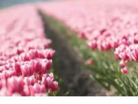 ​适合自己的心情语录 励志语录经典短句