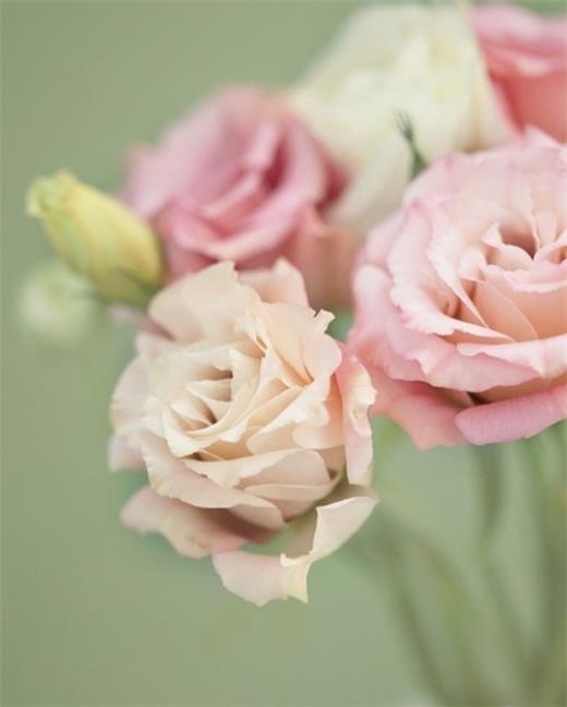 励志语录经典短句