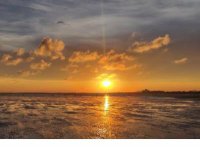 ​好心情从早上开始早安句子（早晨的说说唯美句子）