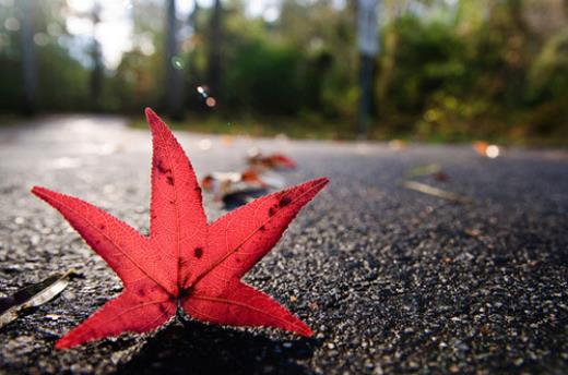 适合晚上发的心情说说