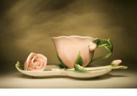 ​幽默风趣减肥的朋友圈说说[72句] (减肥说说心情短语)