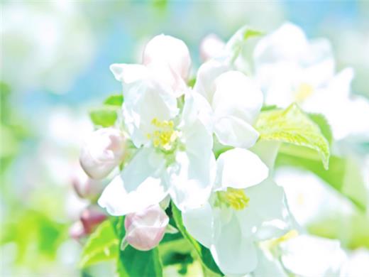 忧伤的句子说说心情