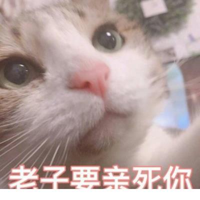 休闲一刻的句子