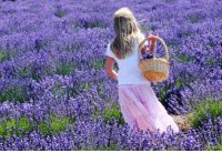 ​周末悠闲的心情句子 周末暖心的短句 周末愉快的句子(36句)