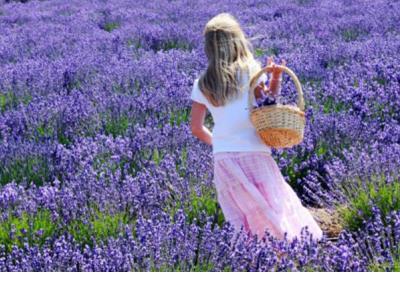 周末愉快的句子