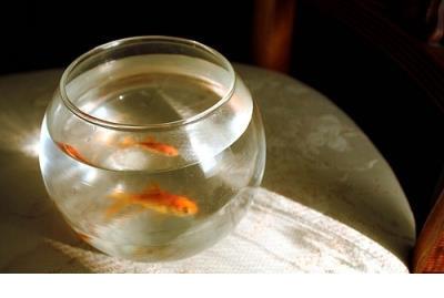 说说心情短语霸气励志