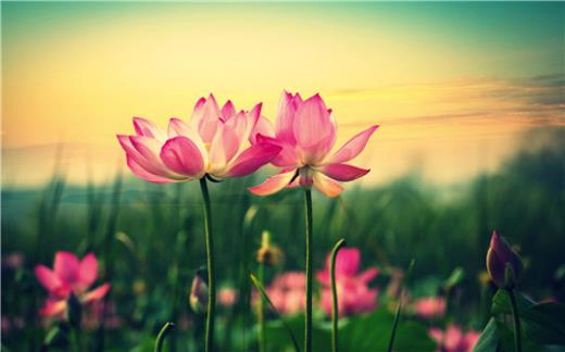 说说心情短语霸气励志