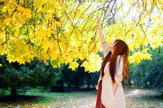 表达家的句子说说心情