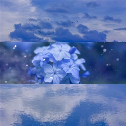 含蓄表达自己心情不好的句子