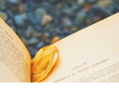 唯美的句子说说心情