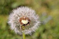 ​有个性比较另类的网名