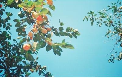 心情说说感悟生活励志