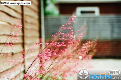 晚安正能量说说短句子