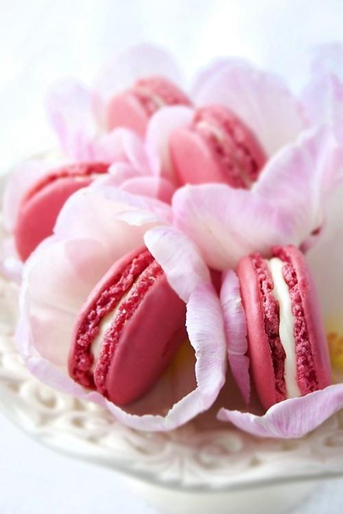 旅游句子说说心情