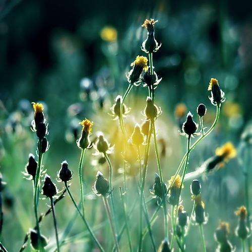 上班熬夜累的说说心情短语