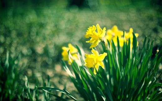 新年奋斗梦想励志说说