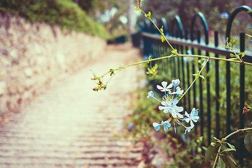 突然心情烦躁说说