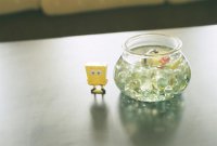 ​qq签名在乎一个人 非主流qq心情签名大全[48条]