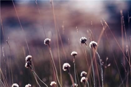 十月最后一天心情说说