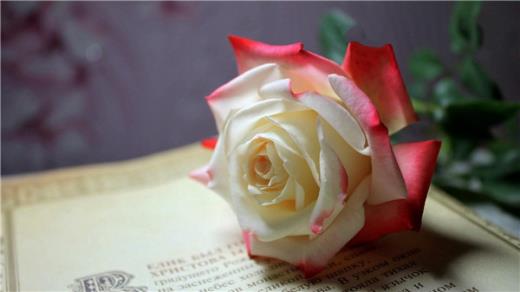 十月最后一天心情说说