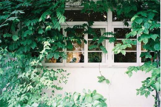 适合下雨天发的语段摘抄