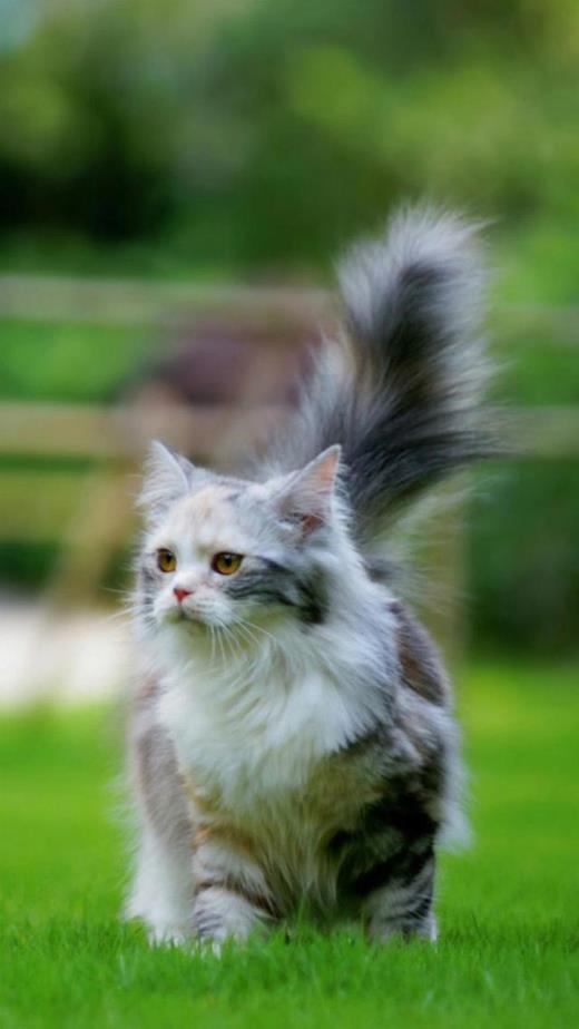 经典句子说说心情