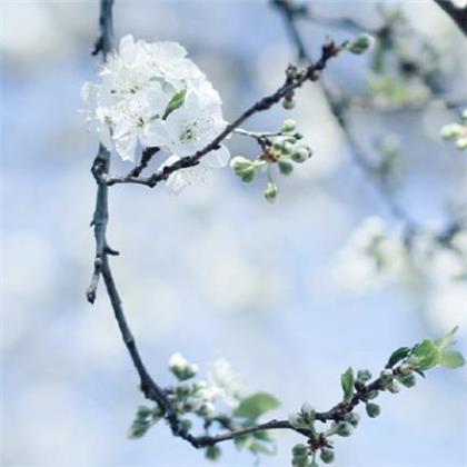 一个人的说说心情短语