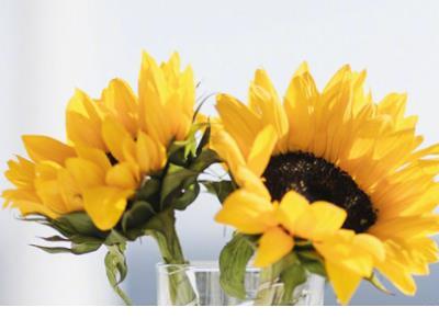 适合发朋友圈的心情短语