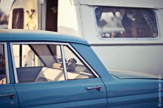 发朋友圈的精美句子