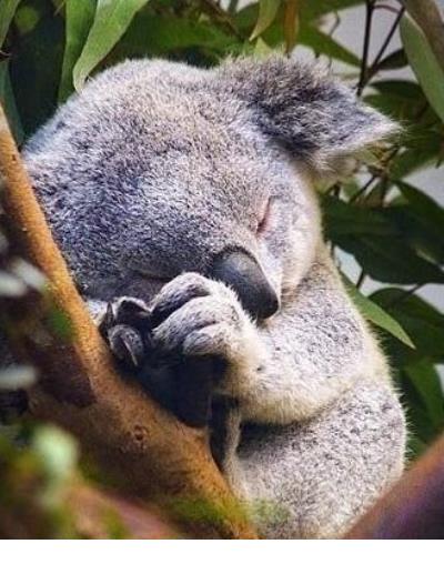 个性说说心情句子大全