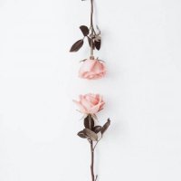 ​心情文案干净治愈 治愈心情的文案