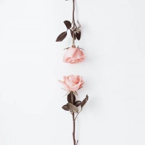 心情文案干净治愈