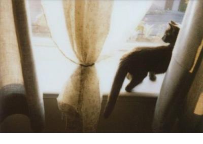 烧香拜佛后的心情说说