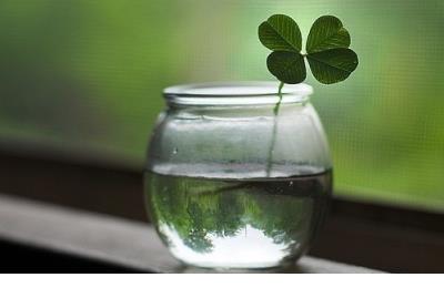 形容美好心情的短句子