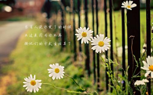 形容心情失落的句子