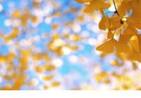 ​下雨的句子的心情说说 适合下雪天发的朋友圈说说