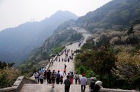 ​早安语录朋友圈语录（早上好心情语录句子）