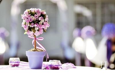 适合发朋友圈心情好的句子